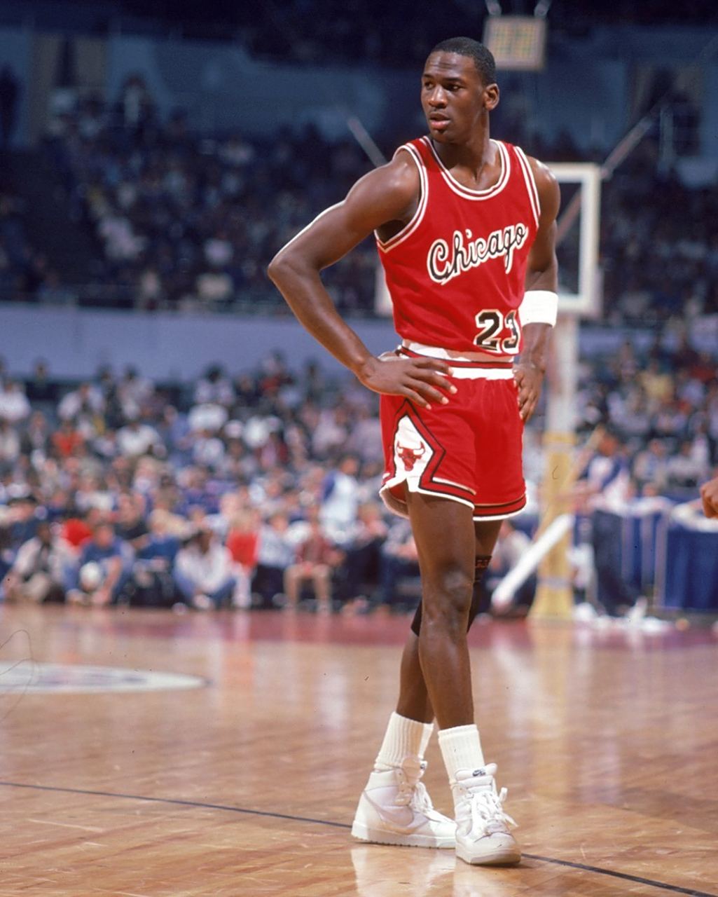 奇身边的P 奇身边的P