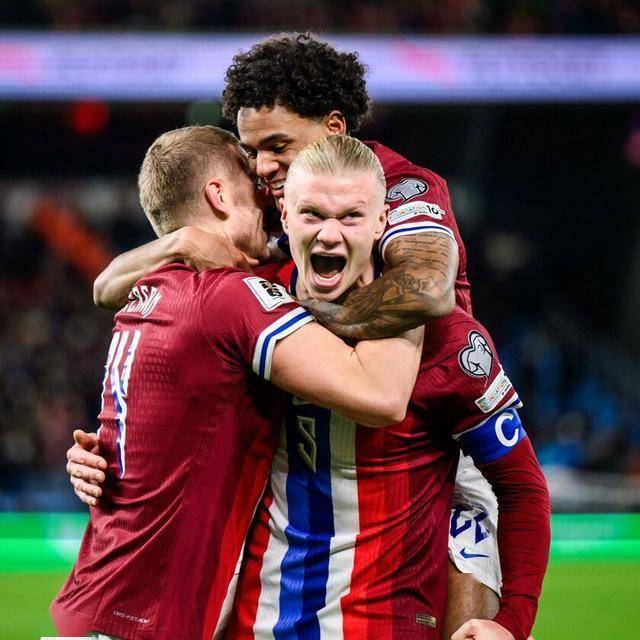 猛龙的主题 猛龙的主题